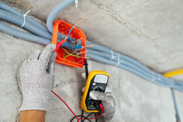 Best Local Electrician Companies  in Springfield, CO